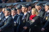 Royal Air Force Servicing Commando and Tactical Supply Wing Association (Group C36, 50 members) during the Royal British Legion March Past on Remembrance Sunday at the Cenotaph, Whitehall, Westminster, London, 11 November 2018, 12:20.