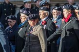Royal Observer Corps Association (Group C38, 67 members) during the Royal British Legion March Past on Remembrance Sunday at the Cenotaph, Whitehall, Westminster, London, 11 November 2018, 12:20.