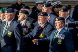 Allied Command in Europe Mobile Force AMF(L) (Group D13, 61 members) during the Royal British Legion March Past on Remembrance Sunday at the Cenotaph, Whitehall, Westminster, London, 11 November 2018, 12:22.