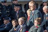 Circuit of Service Lodges (Group D14, 35 members) during the Royal British Legion March Past on Remembrance Sunday at the Cenotaph, Whitehall, Westminster, London, 11 November 2018, 12:22.