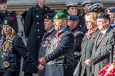 The Royal British Legion (Group D15, 150 members) during the Royal British Legion March Past on Remembrance Sunday at the Cenotaph, Whitehall, Westminster, London, 11 November 2018, 12:22.