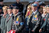 The Royal British Legion (Group D15, 150 members) during the Royal British Legion March Past on Remembrance Sunday at the Cenotaph, Whitehall, Westminster, London, 11 November 2018, 12:22.