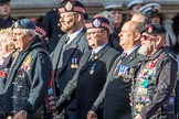 The Royal British Legion (Group D15, 150 members) during the Royal British Legion March Past on Remembrance Sunday at the Cenotaph, Whitehall, Westminster, London, 11 November 2018, 12:22.