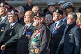 The Royal British Legion (Group D15, 150 members) during the Royal British Legion March Past on Remembrance Sunday at the Cenotaph, Whitehall, Westminster, London, 11 November 2018, 12:22.