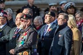 The Royal British Legion (Group D15, 150 members) during the Royal British Legion March Past on Remembrance Sunday at the Cenotaph, Whitehall, Westminster, London, 11 November 2018, 12:22.