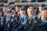 The Royal British Legion (Group D15, 150 members) during the Royal British Legion March Past on Remembrance Sunday at the Cenotaph, Whitehall, Westminster, London, 11 November 2018, 12:22.
