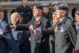 The Royal British Legion (Group D15, 150 members) during the Royal British Legion March Past on Remembrance Sunday at the Cenotaph, Whitehall, Westminster, London, 11 November 2018, 12:22.