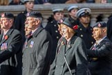 The Royal British Legion (Group D15, 150 members) during the Royal British Legion March Past on Remembrance Sunday at the Cenotaph, Whitehall, Westminster, London, 11 November 2018, 12:22.