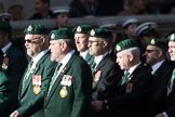 The South African Legion (Group D??) during the Royal British Legion March Past on Remembrance Sunday at the Cenotaph, Whitehall, Westminster, London, 11 November 2018, 12:23.