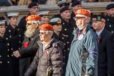 Civil Defence Association  M9, 12 members)  during the Royal British Legion March Past on Remembrance Sunday at the Cenotaph, Whitehall, Westminster, London, 11 November 2018, 12:26.