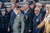 National Association of Retired Police Officers (Group M10, 36 members) during the Royal British Legion March Past on Remembrance Sunday at the Cenotaph, Whitehall, Westminster, London, 11 November 2018, 12:26.