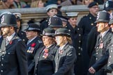 Metropolitan Special Constabulary (Group M17, 40 members) during the Royal British Legion March Past on Remembrance Sunday at the Cenotaph, Whitehall, Westminster, London, 11 November 2018, 12:27.