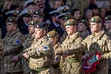 RAF- and Army Cadets (Group M35, ?? members) during the Royal British Legion March Past on Remembrance Sunday at the Cenotaph, Whitehall, Westminster, London, 11 November 2018, 12:29.