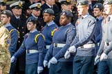 RAF- and Army Cadets (Group M35, ?? members) during the Royal British Legion March Past on Remembrance Sunday at the Cenotaph, Whitehall, Westminster, London, 11 November 2018, 12:29.