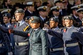 RAF- and Army Cadets (Group M35, ?? members) during the Royal British Legion March Past on Remembrance Sunday at the Cenotaph, Whitehall, Westminster, London, 11 November 2018, 12:29.