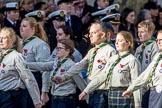 The Scout Association (Group M36, 30 members) during the Royal British Legion March Past on Remembrance Sunday at the Cenotaph, Whitehall, Westminster, London, 11 November 2018, 12:30.