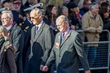 Commonwealth War Graves Commission (Group M50, 19 members) during the Royal British Legion March Past on Remembrance Sunday at the Cenotaph, Whitehall, Westminster, London, 11 November 2018, 12:31.