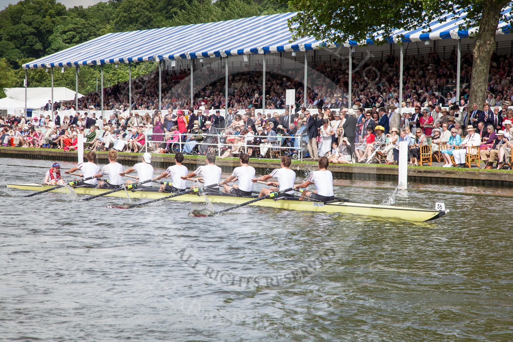 Henley Royal Regatta 2012 (Thursday): Race 51, Temple Challenge Cup:  Durham University (68, Bucks) v Amsterdamsche Studenten Roeivereenigung Nereus, Holland 'B' (56, Berks).
River Thames beteen Henley-on-Thames and Remenham/Temple Island ,
Henley-on-Thames,
Oxfordshire,
United Kingdom,
on 28 June 2012 at 15:35, image #372