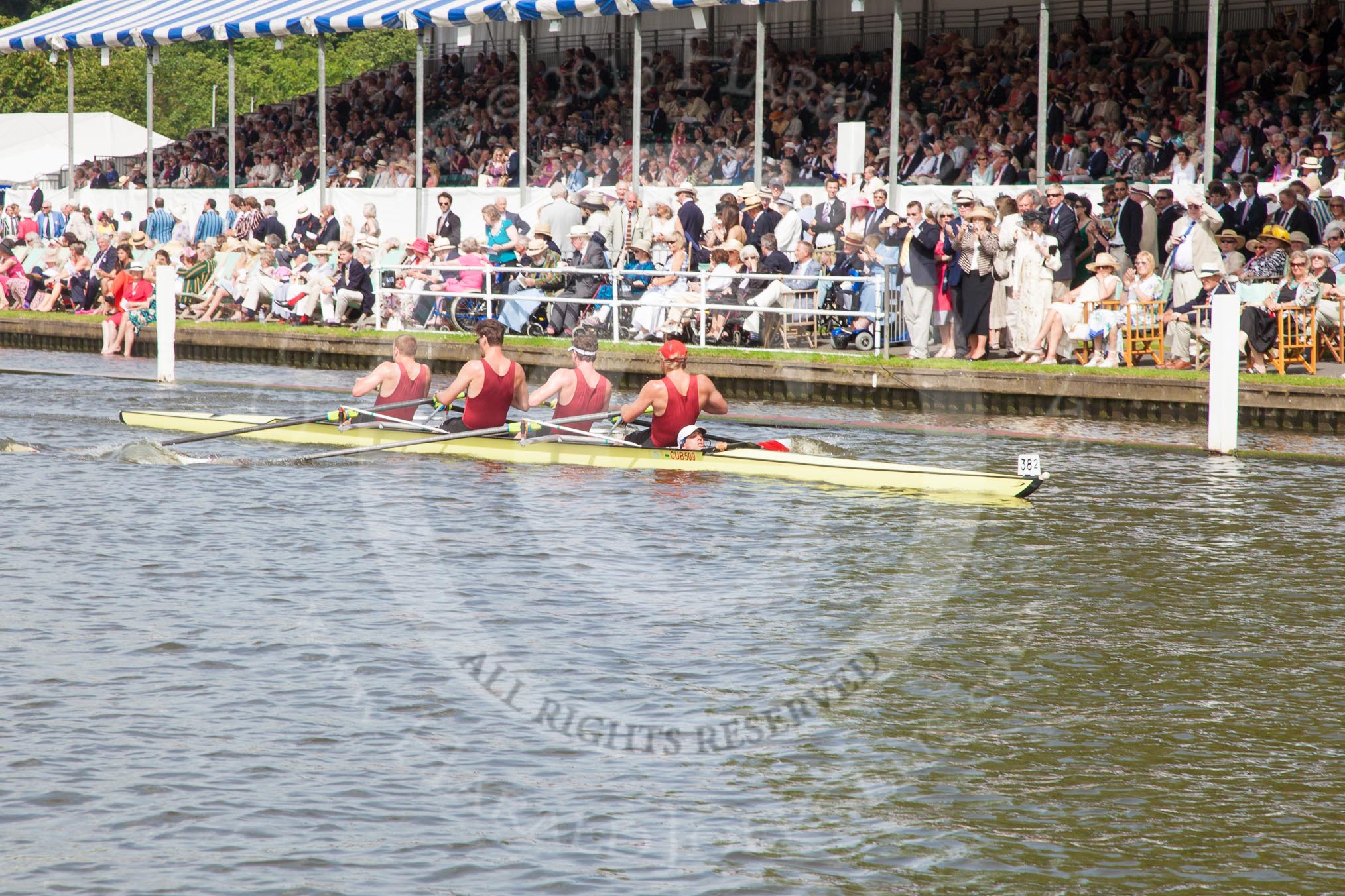 Henley Royal Regatta 2012 (Thursday): Race 55, Prince Albert Challenge Cup:  University of Birmingham (397, Bucks) v Harvard University, U.S.A. (382, Berks).
River Thames beteen Henley-on-Thames and Remenham/Temple Island ,
Henley-on-Thames,
Oxfordshire,
United Kingdom,
on 28 June 2012 at 15:57, image #398