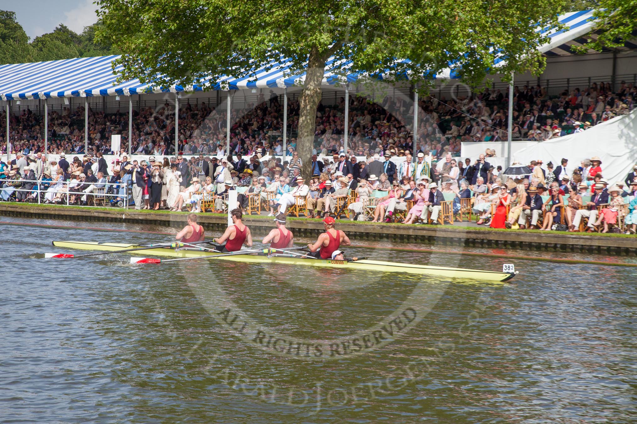 Henley Royal Regatta 2012 (Thursday): Race 55, Prince Albert Challenge Cup:  University of Birmingham (397, Bucks) v Harvard University, U.S.A. (382, Berks).
River Thames beteen Henley-on-Thames and Remenham/Temple Island ,
Henley-on-Thames,
Oxfordshire,
United Kingdom,
on 28 June 2012 at 15:57, image #399