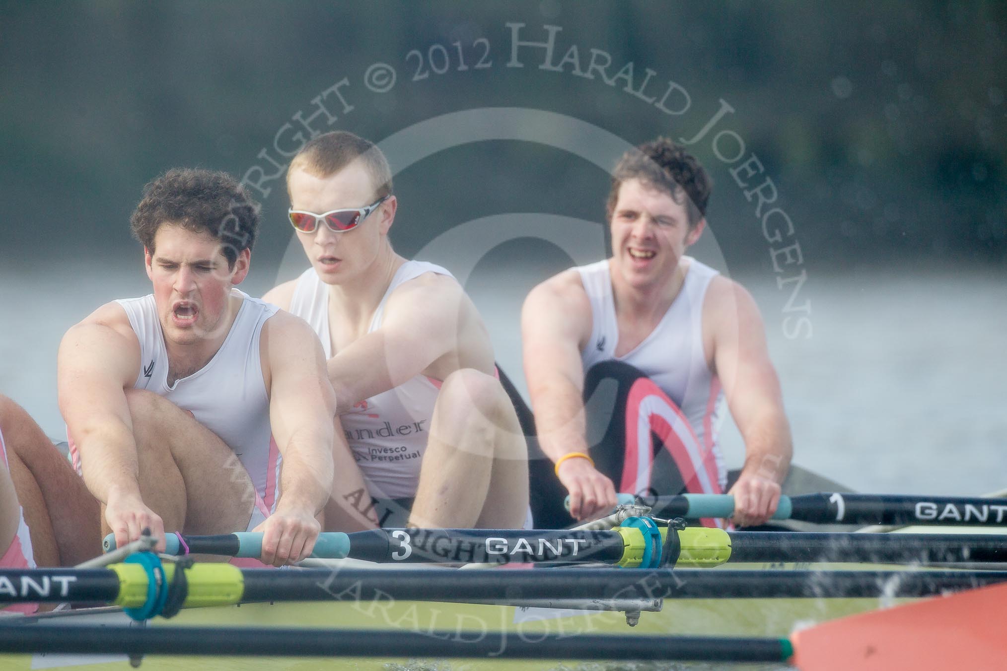 The Boat Race season 2012 - fixture CUBC vs Leander: The Leander Club Eight:  Will Gray, Sam Whittaker, and bow Oliver Holt.
River Thames between Putney and Molesey,
London,
Greater London,
United Kingdom,
on 10 March 2012 at 14:15, image #113