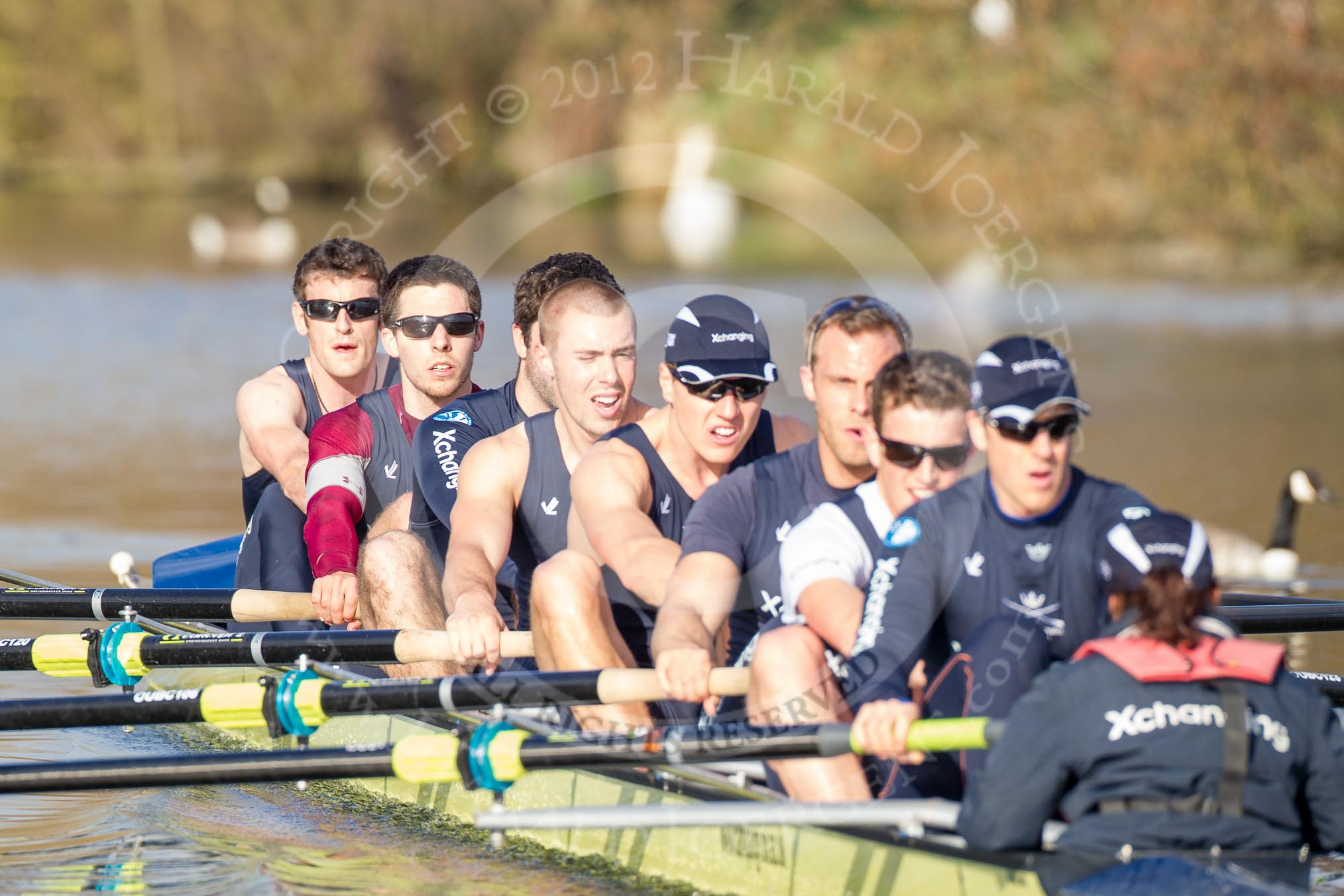 The Boat Race season 2012 - OUBC training: Bow Dr. Alexander Woods, 2 William Zeng, 3 Kevin Baum, 4 Alexander Davidson, 5 Karl Hudspith, 6 Dr. Hanno Wienhausen, 7 Dan Harvey, stroke Roel Haen, and cox Zoe de Toledo..


Oxfordshire,
United Kingdom,
on 20 March 2012 at 15:55, image #60