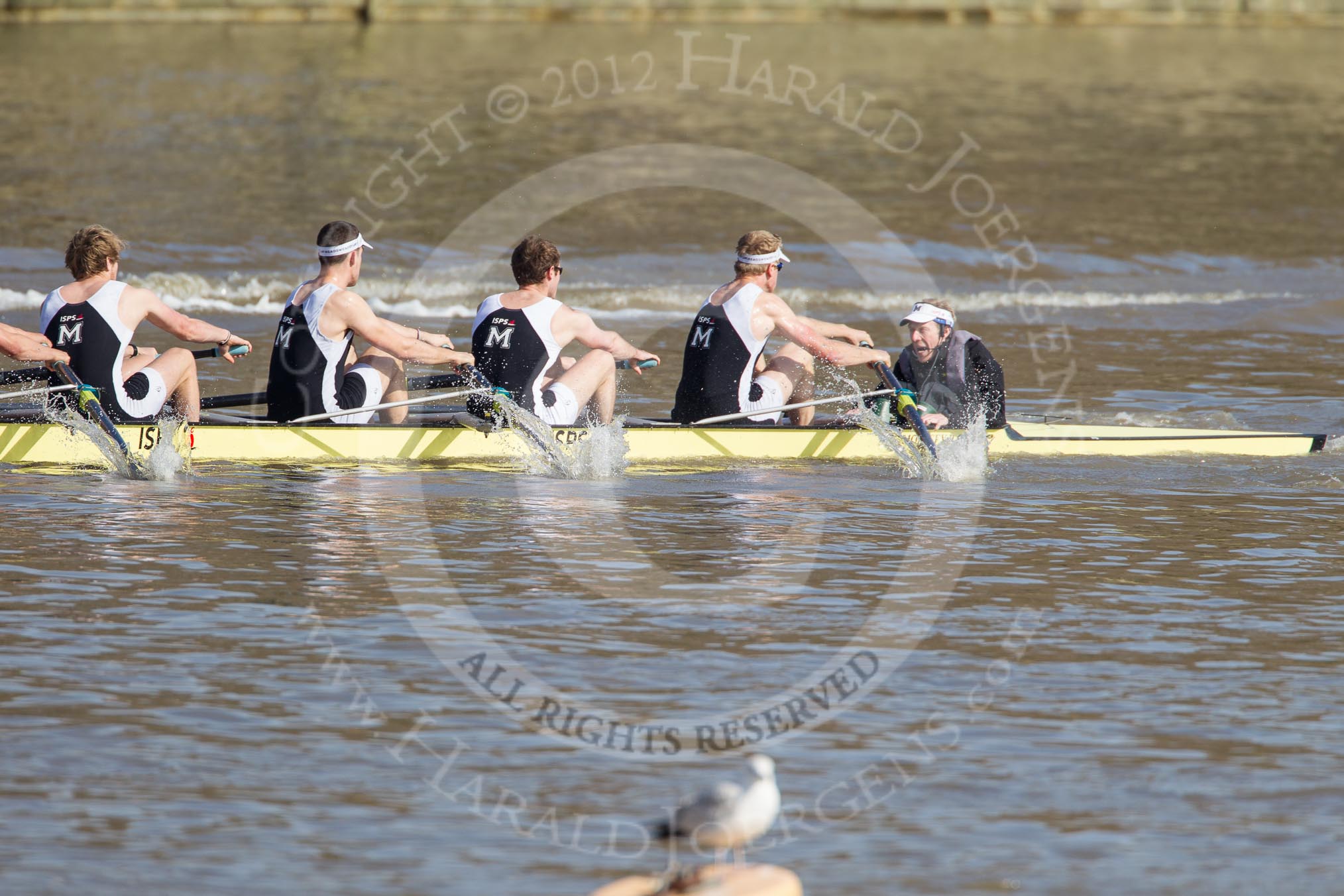 The Boat Race season 2012 - fixture CUBC vs Molesey BC.




on 25 March 2012 at 15:19, image #113