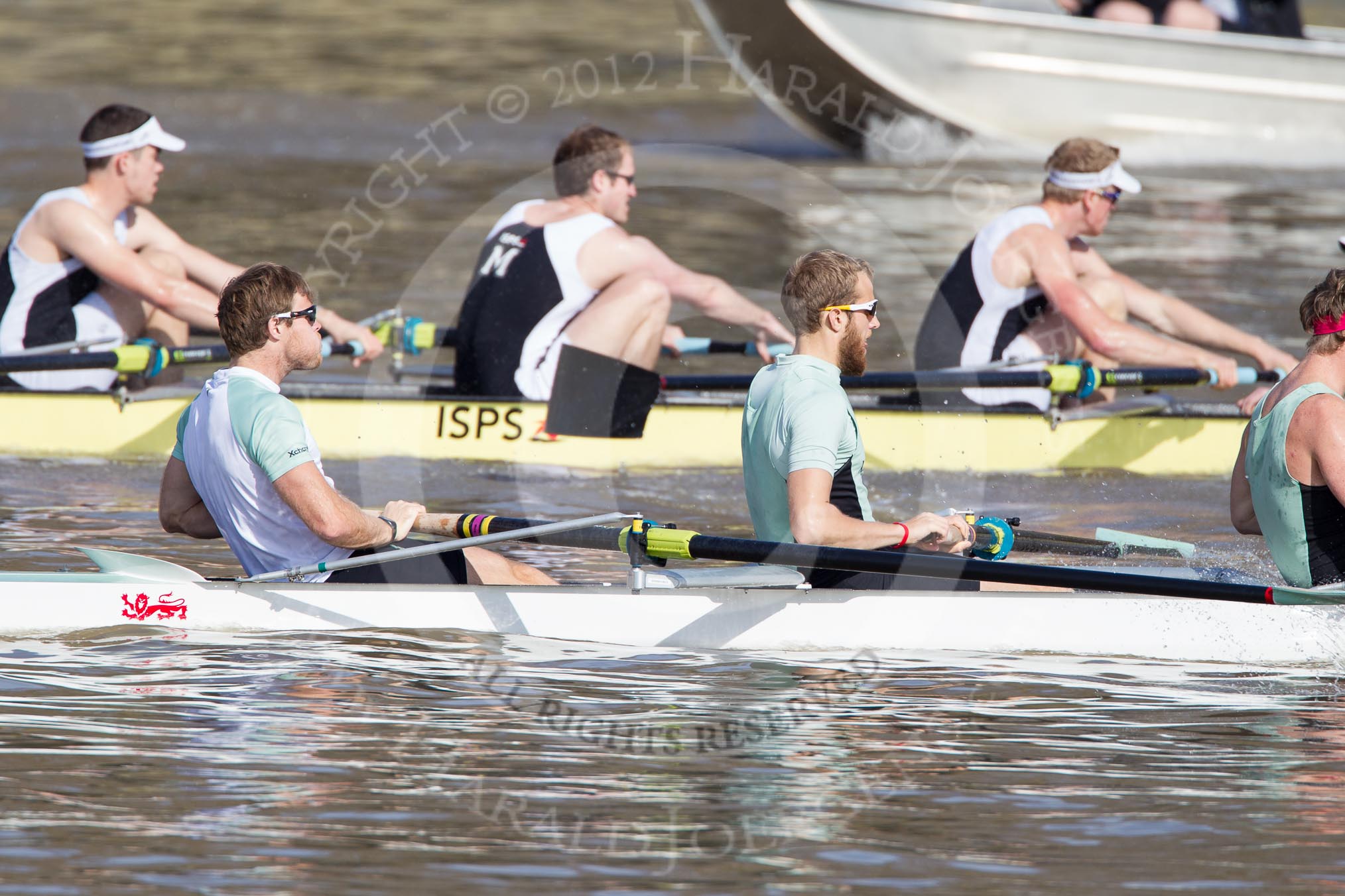 The Boat Race season 2012 - fixture CUBC vs Molesey BC: In the CUBC Blue Boat, racing Molesey BC, here bow David Nelson, Moritz Schramm, and Jack Lindeman..




on 25 March 2012 at 15:19, image #119