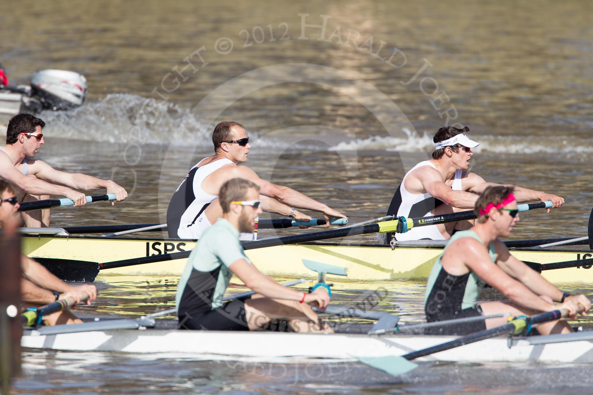 The Boat Race season 2012 - fixture CUBC vs Molesey BC: In the CUBC Blue Boat, racing Molesey BC, here bow David Nelson, Moritz Schramm, and Jack Lindeman..




on 25 March 2012 at 15:19, image #124