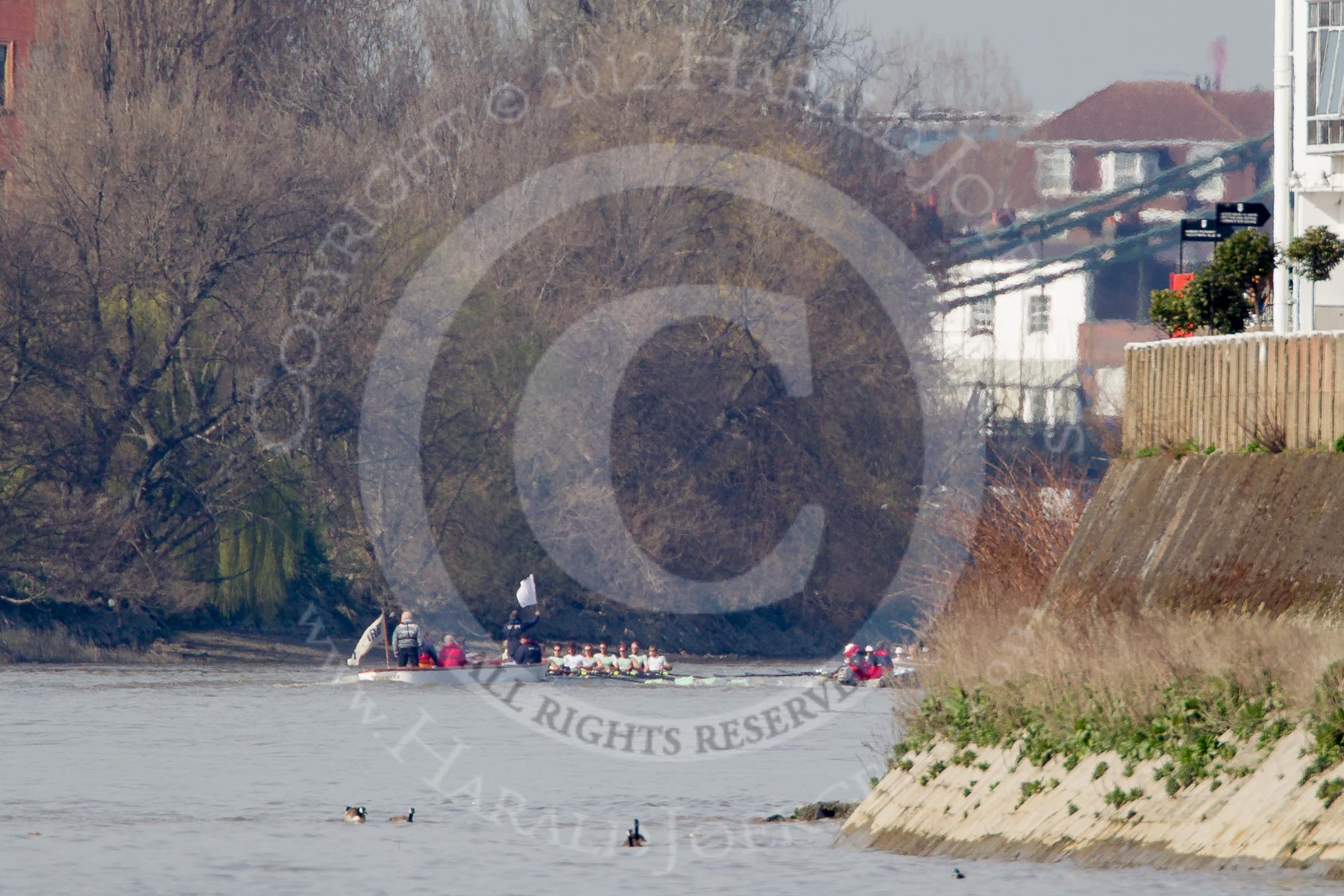 The Boat Race season 2012 - fixture CUBC vs Molesey BC: The CUBC Blue Boat on the left, the Molesey BC Eight on the right, behind them umpire Boris Rankov. The boats are approaching Hammersmith Bridge, Fulham FC stadium is on the right..




on 25 March 2012 at 15:22, image #151