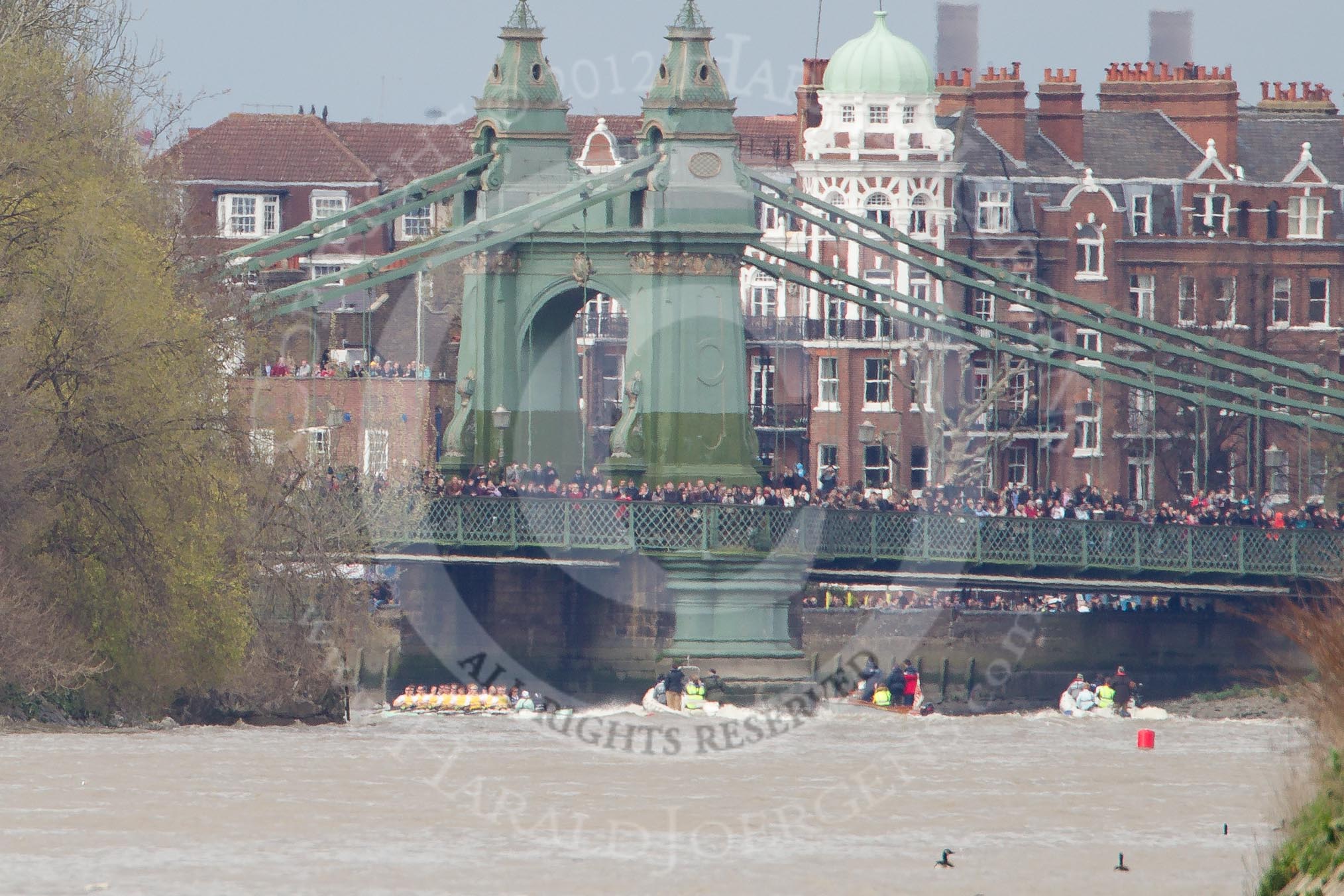 The Boat Race 2012: The Isis v Goldie Boat Race. The Oxford reserve boat Isis, in blue, in the lead, approaching Hammersmith Bridge, the Goldie crew in yellow..




on 07 April 2012 at 13:51, image #198