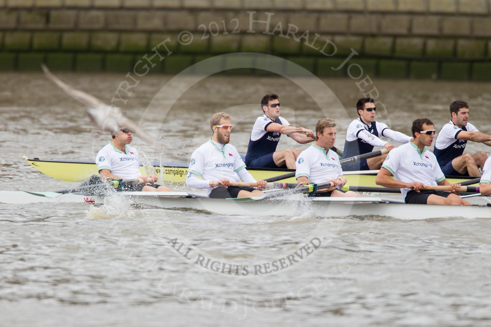 The Boat Race 2012: The 2012 Boat Race, shortly after the start: In the foreground the Cambridge Blue Boat, with David Nelson, Moritz Schramm, Jack Lindeman, and Alex Ross, in the Oxford boat Dr. Alexander Woods, William Zeng, and Kevin Baum..




on 07 April 2012 at 14:16, image #260