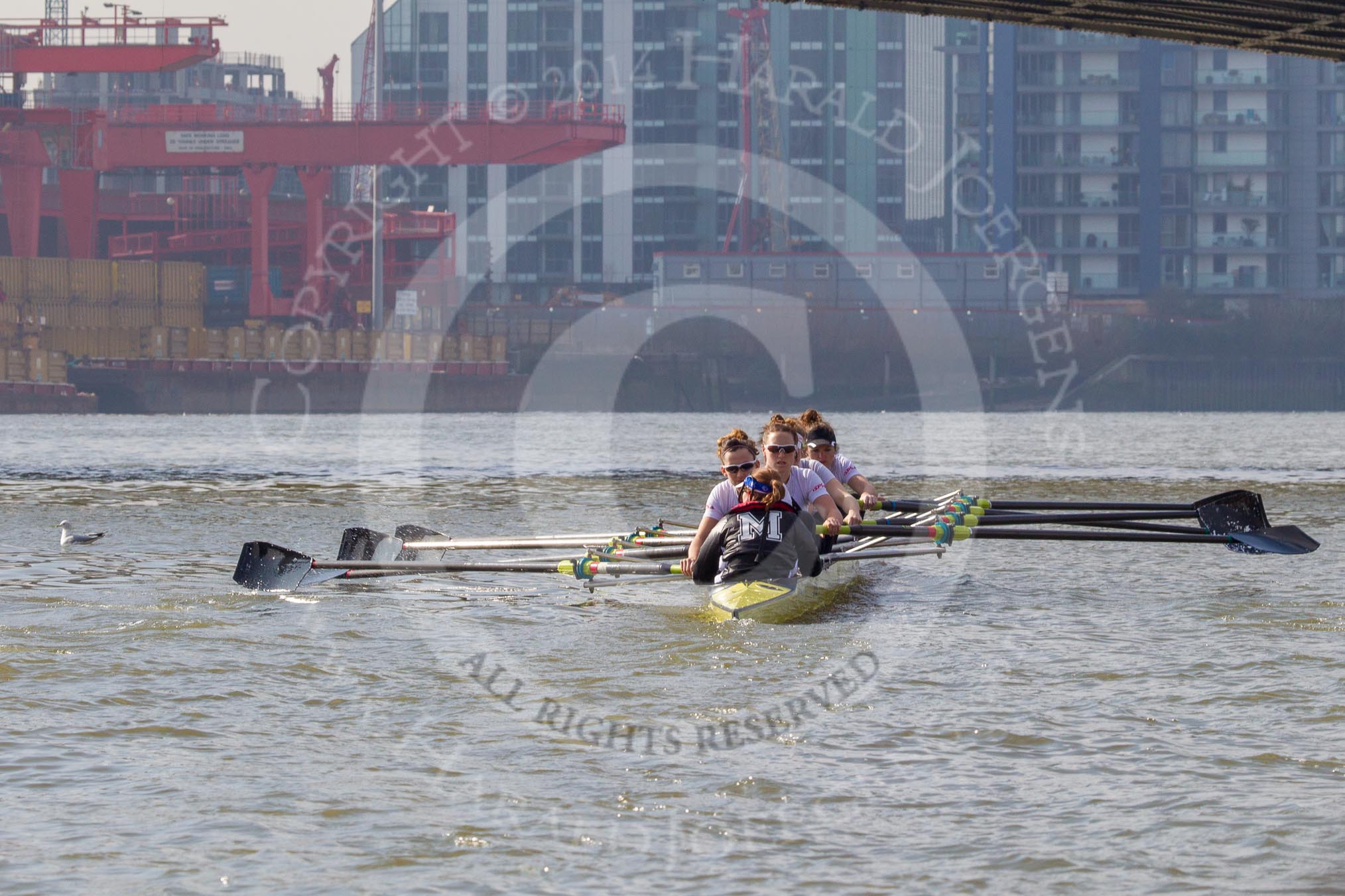 The Boat Race season 2014 - fixture OUWBC vs Molesey BC.




on 01 March 2014 at 12:31, image #52