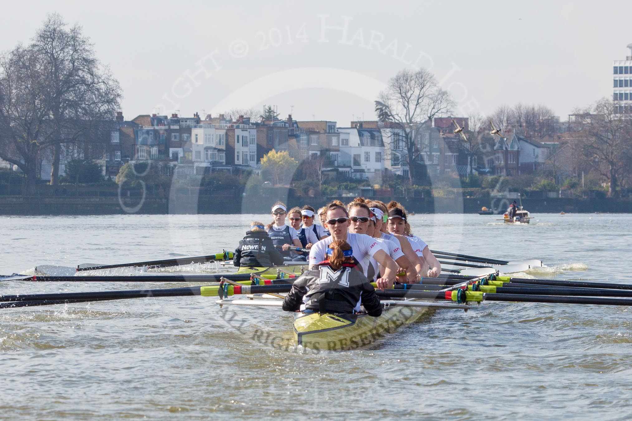 The Boat Race season 2014 - fixture OUWBC vs Molesey BC.




on 01 March 2014 at 13:21, image #237