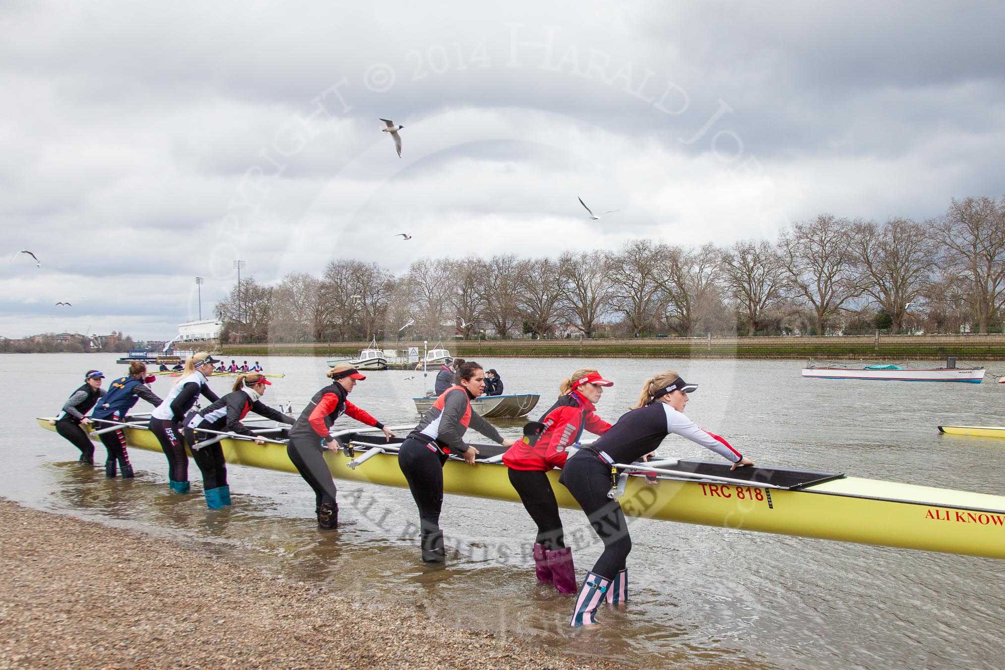 The Boat Race season 2014 - fixture CUWBC vs Thames RC.




on 02 March 2014 at 12:32, image #2