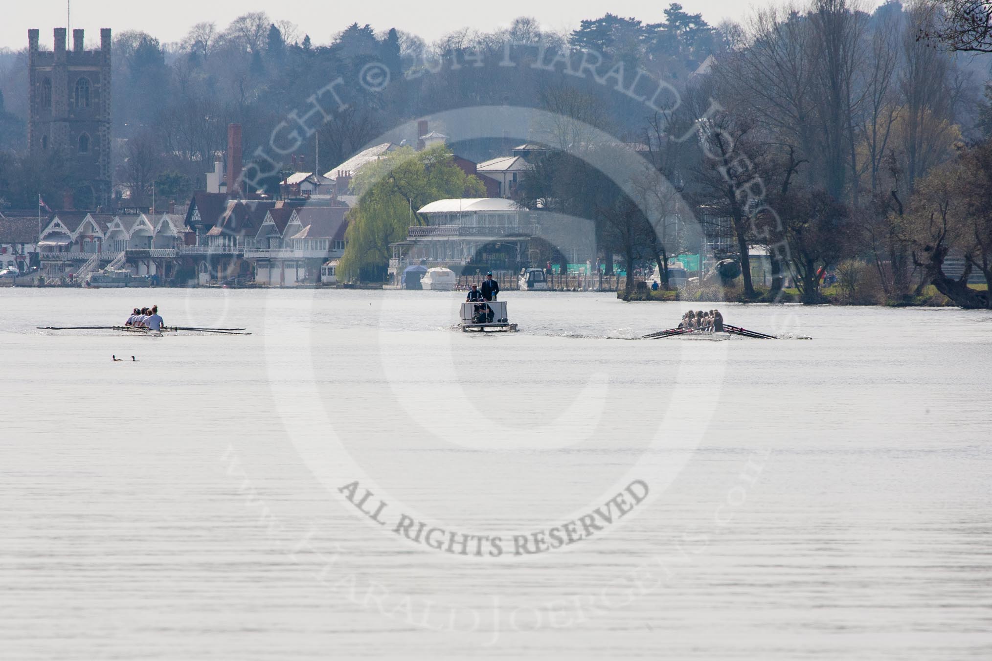 The Women's Boat Race and Henley Boat Races 2014: The Intercollegiate women's race - shortly after the start at Henley. The Wadham College (Oxford) boat is on the right, Trinity College (Cambridge) on the left..
River Thames,
Henley-on-Thames,
Buckinghamshire,
United Kingdom,
on 30 March 2014 at 13:26, image #7