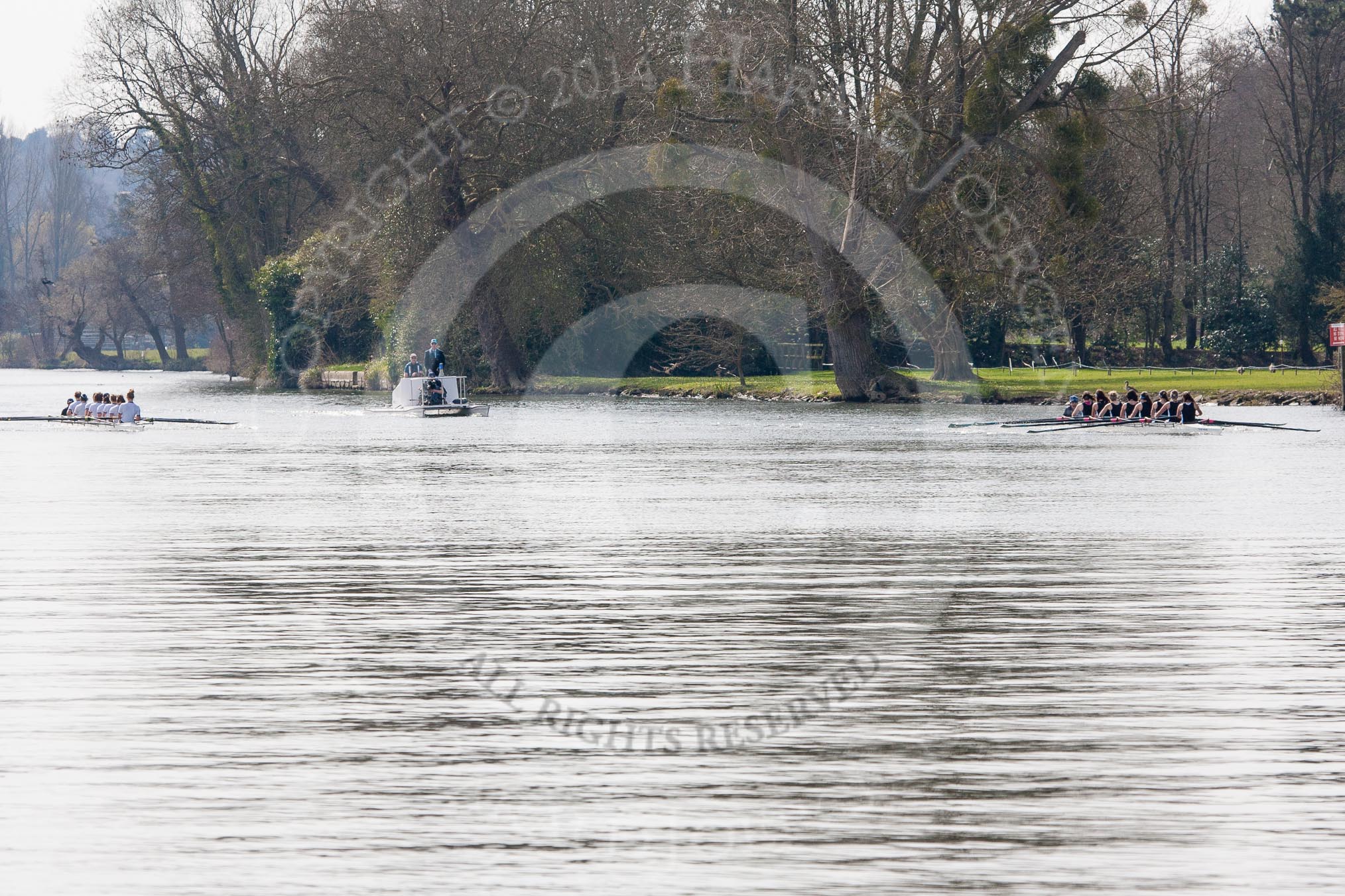 The Women's Boat Race and Henley Boat Races 2014: The Intercollegiate women's race. The Wadham College (Oxford) boat is on the very right, Trinity College (Cambridge) on the left..
River Thames,
Henley-on-Thames,
Buckinghamshire,
United Kingdom,
on 30 March 2014 at 13:26, image #10