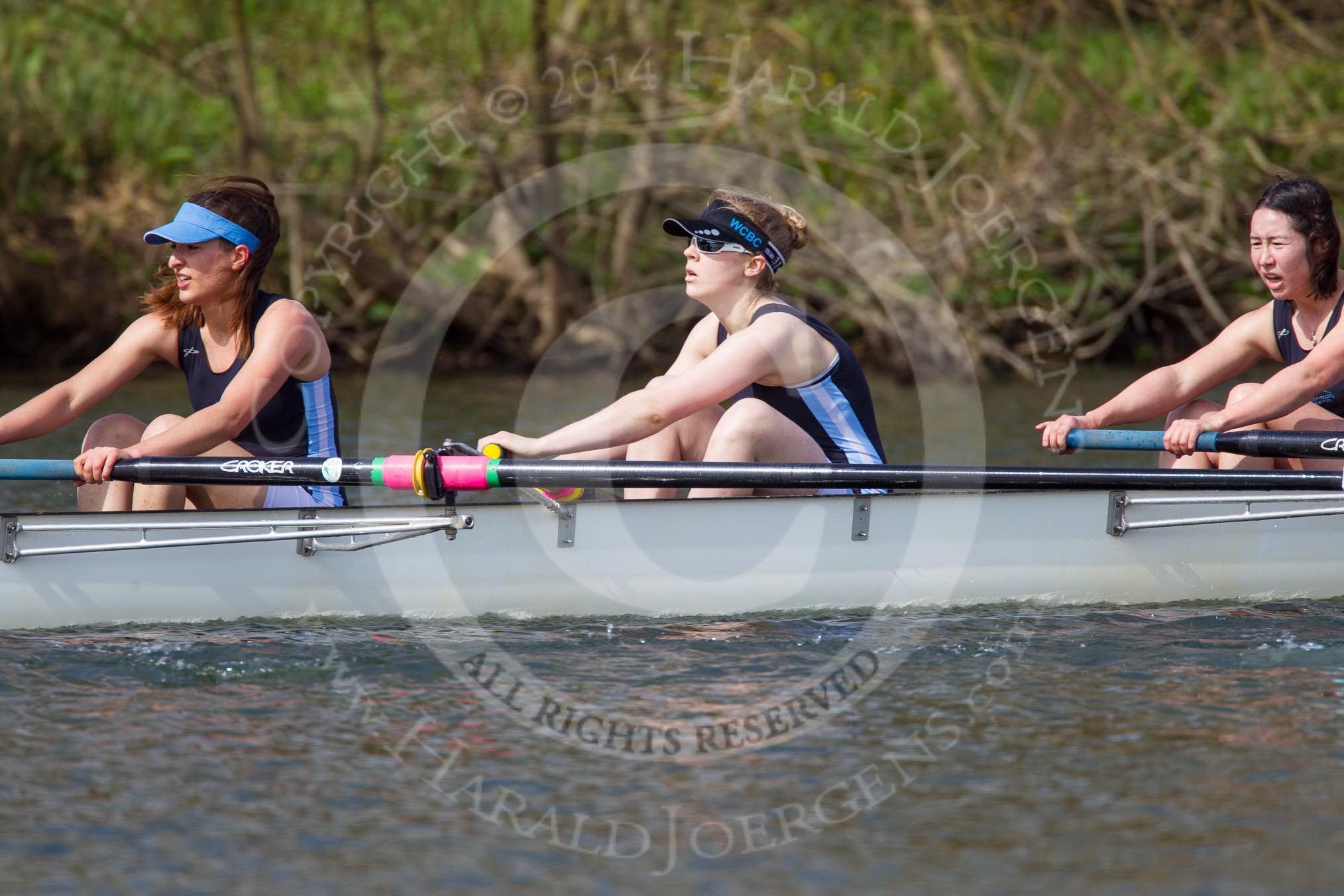 The Women's Boat Race and Henley Boat Races 2014: The Intercollegiate women's race. The Wadham College (Oxford) boat, 7 seat Katia Mandaltsi, 6 Stephanie Hall, 5 Canna Whyte..
River Thames,
Henley-on-Thames,
Buckinghamshire,
United Kingdom,
on 30 March 2014 at 13:27, image #21