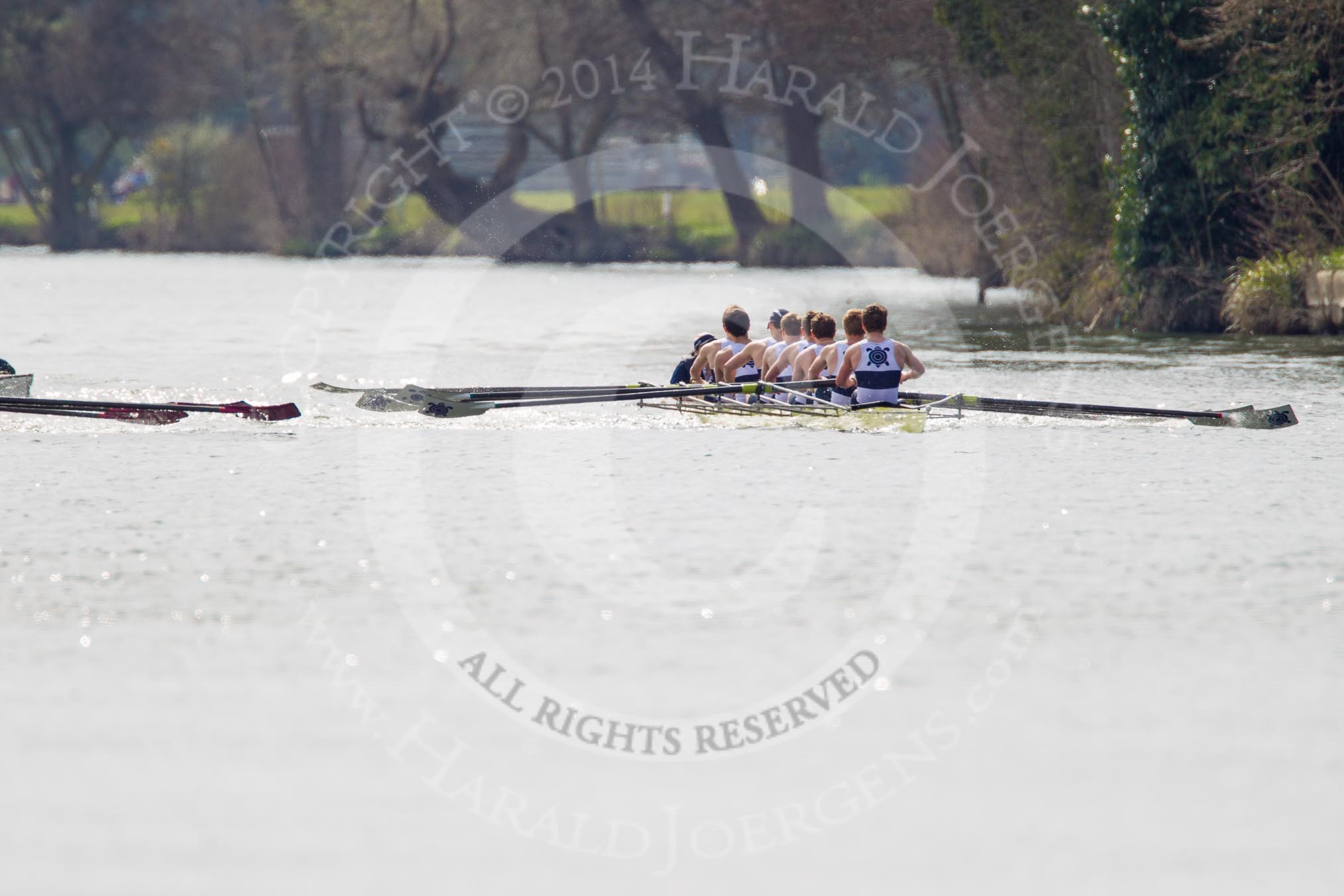 The Women's Boat Race and Henley Boat Races 2014: The Intercollegiate men's race. Oriel College (Oxford) on the right, Downing College (Cambridge) on the left..
River Thames,
Henley-on-Thames,
Buckinghamshire,
United Kingdom,
on 30 March 2014 at 13:51, image #77