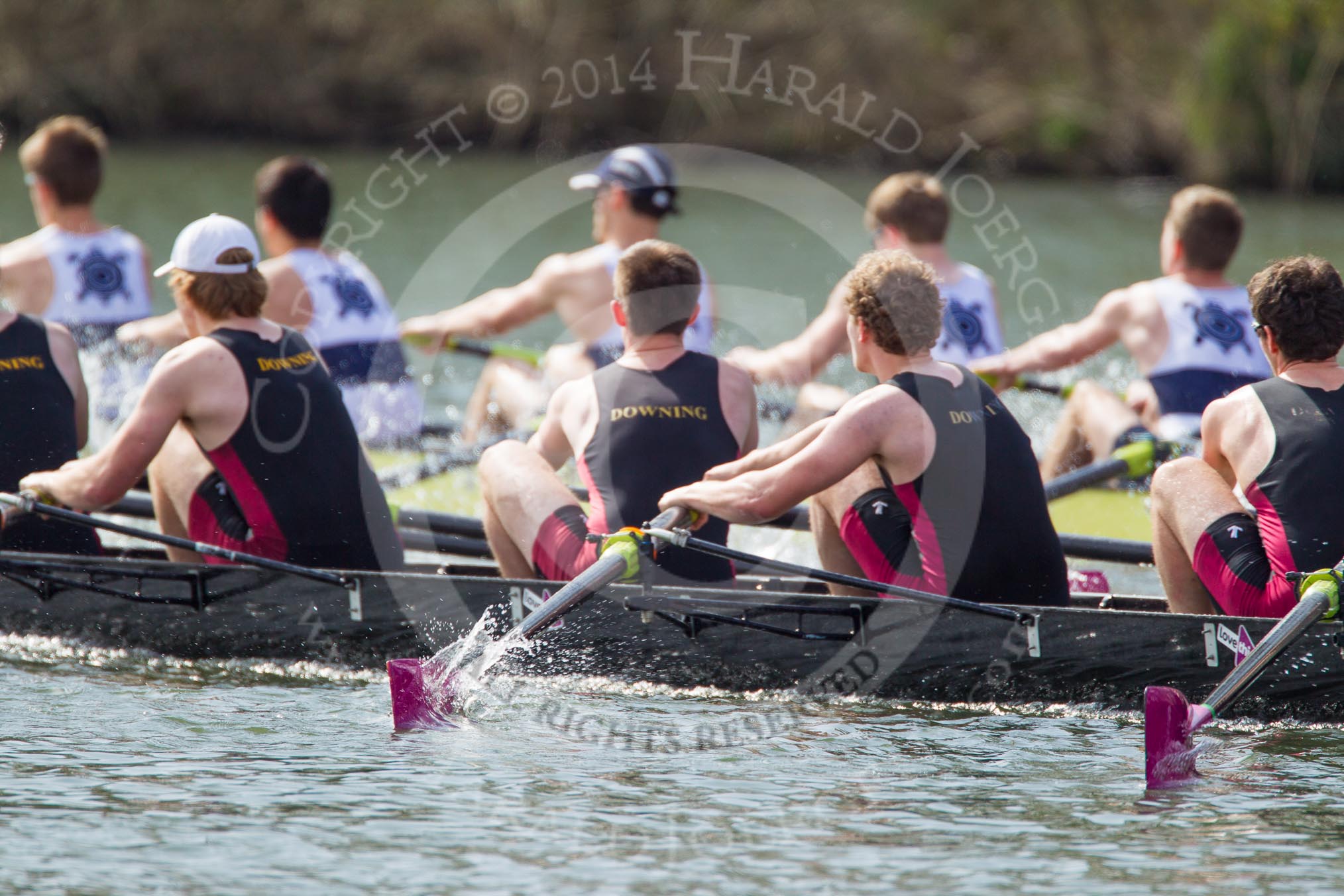 The Women's Boat Race and Henley Boat Races 2014: The Intercollegiate men's race. Oriel College (Oxford) and Downing College (Cambridge, on the left) are still close together..
River Thames,
Henley-on-Thames,
Buckinghamshire,
United Kingdom,
on 30 March 2014 at 13:52, image #92