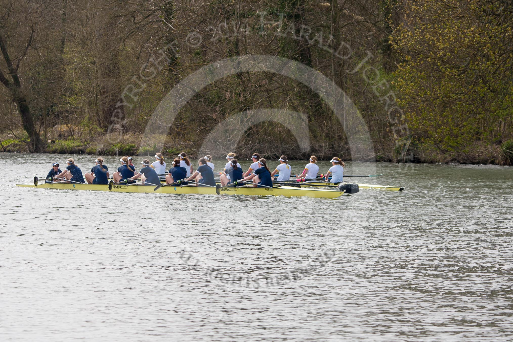 The Women's Boat Race and Henley Boat Races 2014: The Women's Reserves - Osiris v. Blondie race. Osiris (Oxford) on the left,  and Blondie (Cambridge) are quite close together again..
River Thames,
Henley-on-Thames,
Buckinghamshire,
United Kingdom,
on 30 March 2014 at 14:16, image #155