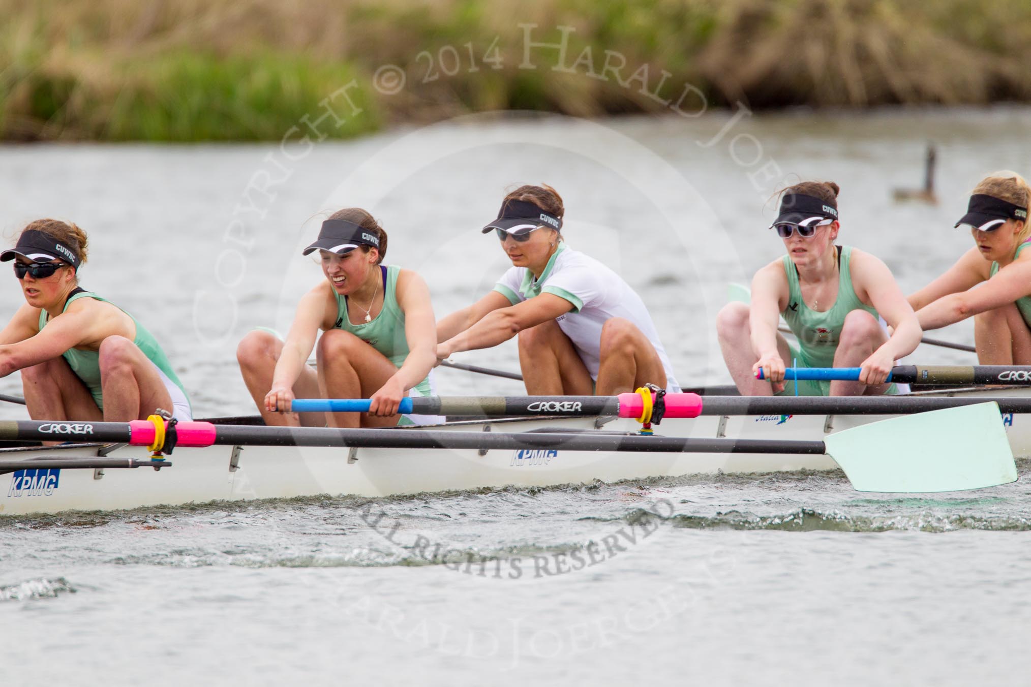 The Women's Boat Race and Henley Boat Races 2014: The CUWBC Lightweights boat with 7 Fiona Macklin, 6 Ella Barnard, 5 Valentina Futoryanova, 4 Eve Edwards, 3 Lottie Meggit..
River Thames,
Henley-on-Thames,
Buckinghamshire,
United Kingdom,
on 30 March 2014 at 14:49, image #239