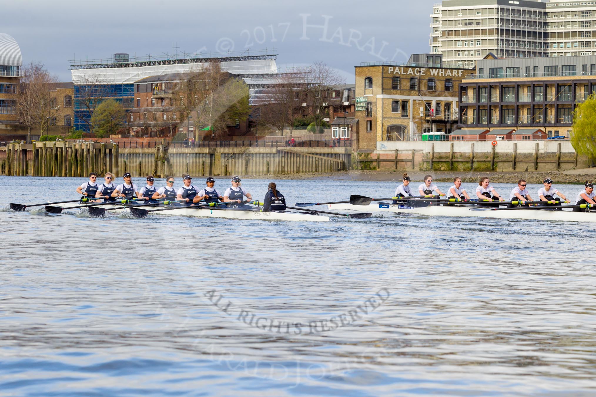 The Cancer Research UK Boat Race season 2017 - Women's Boat Race Fixture OUWBC vs Molesey BC: OUWBC extending their lead further at Palace Wharf.
River Thames between Putney Bridge and Mortlake,
London SW15,

United Kingdom,
on 19 March 2017 at 16:05, image #79