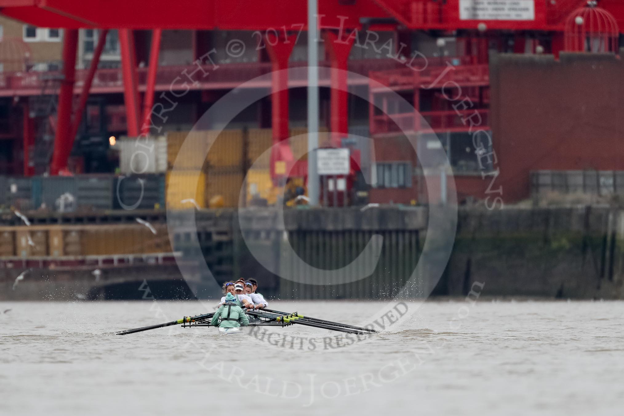 The Boat Race season 2018 - Women's Boat Race Trial Eights (CUWBC, Cambridge): Expecto Patronum near the Western Riverside Waste Authority.
River Thames between Putney Bridge and Mortlake,
London SW15,

United Kingdom,
on 05 December 2017 at 12:25, image #30