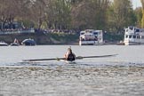 The Boat Race season 2017 -  The Cancer Research Women's Boat Race: OUWBC below the arches of Putney Bridge on the way to the start of the Women's Boat Race.
River Thames between Putney Bridge and Mortlake,
London SW15,

United Kingdom,
on 02 April 2017 at 16:25, image #110
