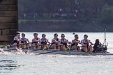 The Boat Race season 2017 -  The Cancer Research Women's Boat Race: OUWBC reaching Barned Bridge, with Cambridge around 50 seconds ahead - bow Alice Roberts, 2 Flo Pickles, 3 Rebecca Te Water Naudé, 4 Rebecca Esselstein, 5 Chloe Laverack, 6 Harriet Austin, 7 Jenna Hebert, stroke Emily Cameron, cox Eleanor Shearer.
River Thames between Putney Bridge and Mortlake,
London SW15,

United Kingdom,
on 02 April 2017 at 16:50, image #177