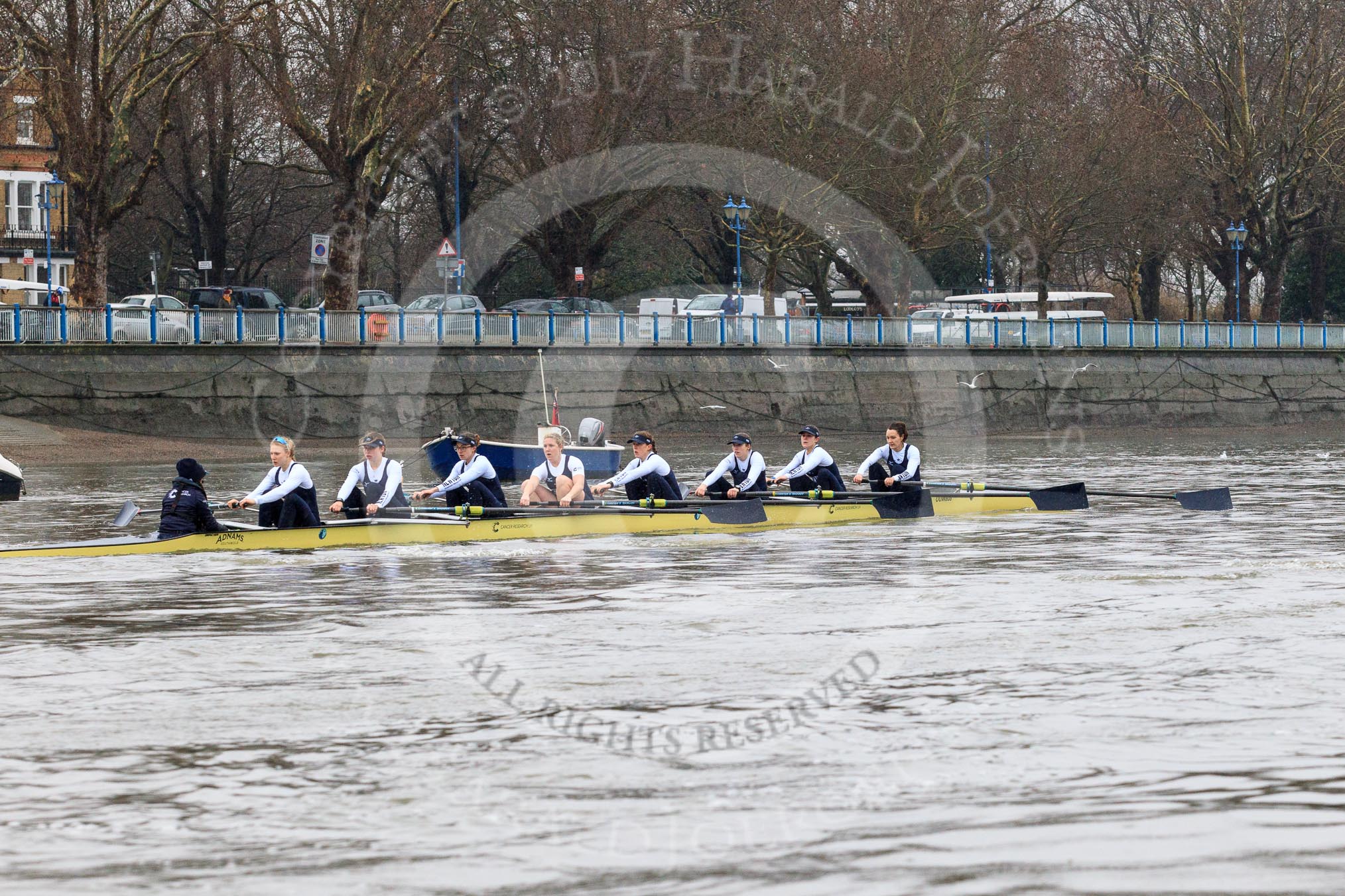 The Boat Race season 2018 - Women's Boat Race Trial Eights (OUWBC, Oxford): "Coursing River" passing the boat houses on Putney Embankment - cox Ellie Shearer, stroke Beth Bridgman, 7 Juliette Perry, 6 Katherine Erickson, 5 Morgan McGovern, 4 Anna Murgatroyd, 3 Stefanie Zekoll, 2 Rachel Anderson, bow Sarah Payne-Riches.
River Thames between Putney Bridge and Mortlake,
London SW15,

United Kingdom,
on 21 January 2018 at 14:28, image #69