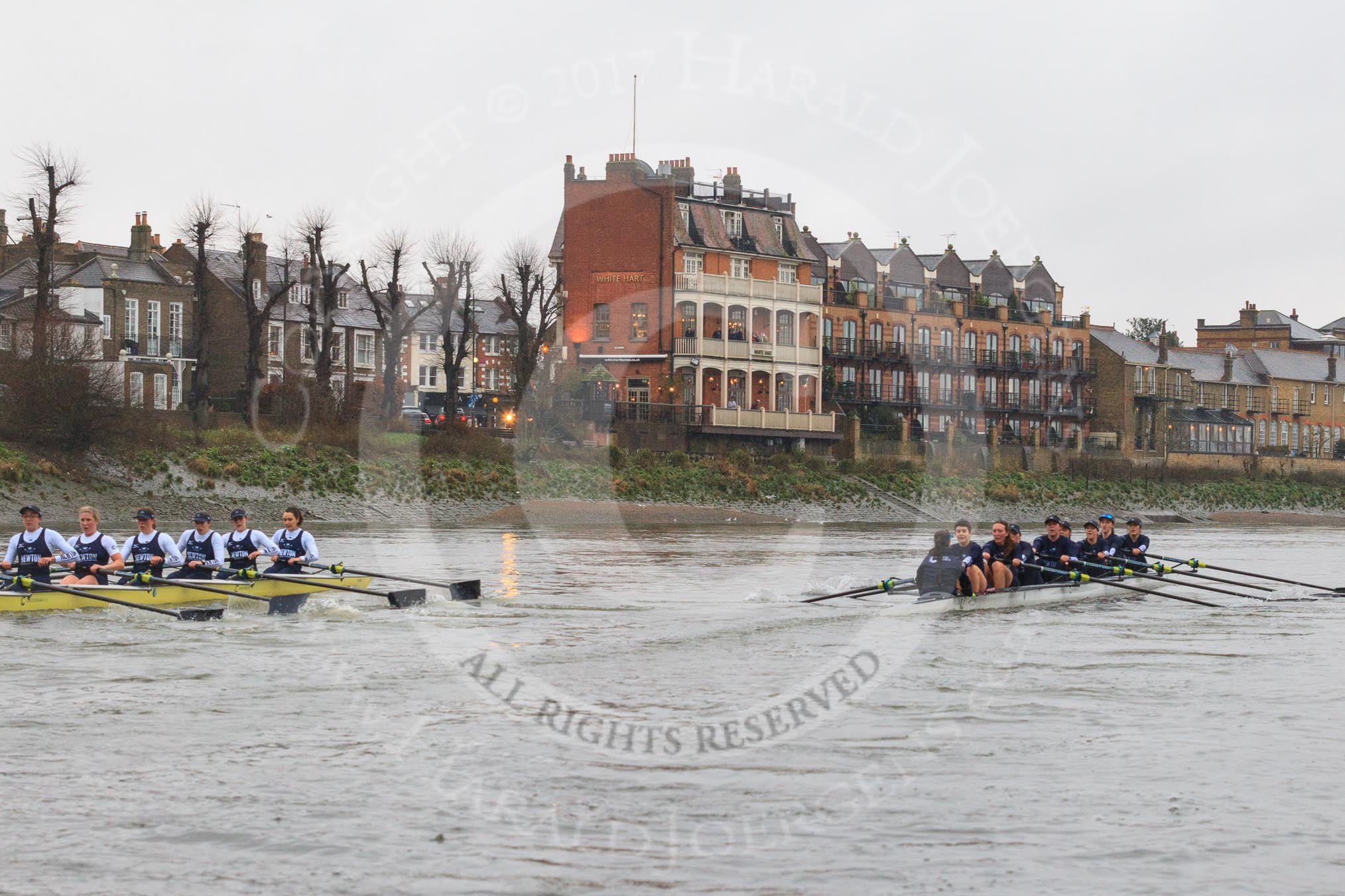 The Boat Race season 2018 - Women's Boat Race Trial Eights (OUWBC, Oxford): "Great Typhoon" and "Coursing River" at the "White Hart" pub, just behind Barnes Railway Bridge.
River Thames between Putney Bridge and Mortlake,
London SW15,

United Kingdom,
on 21 January 2018 at 14:44, image #157