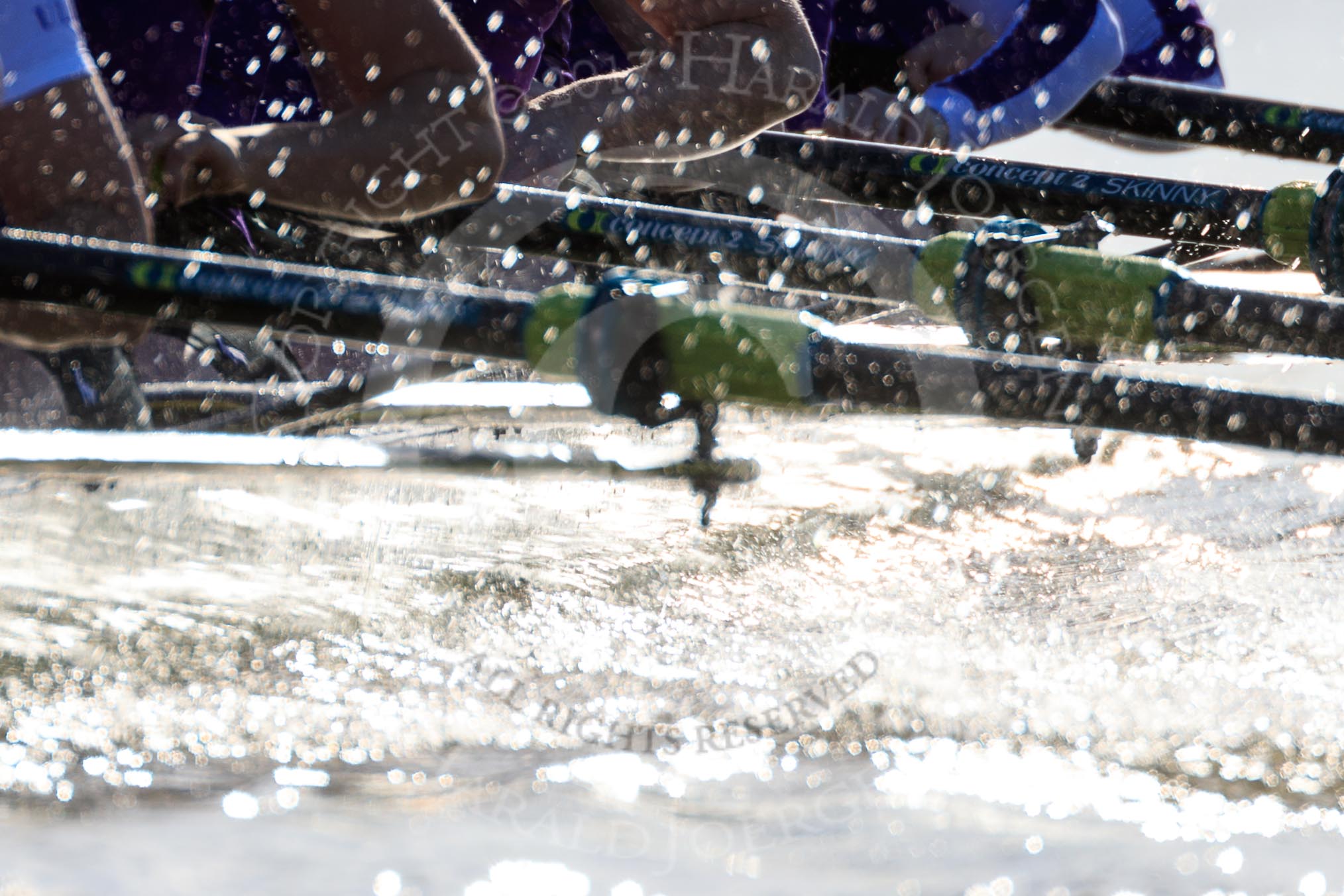 The Women's Boat Race season 2018 - fixture CUWBC vs. ULBC: The position of the sun made photography a bit difficult, but allowed some unusual views.
River Thames between Putney Bridge and Mortlake,
London SW15,

United Kingdom,
on 17 February 2018 at 13:28, image #114