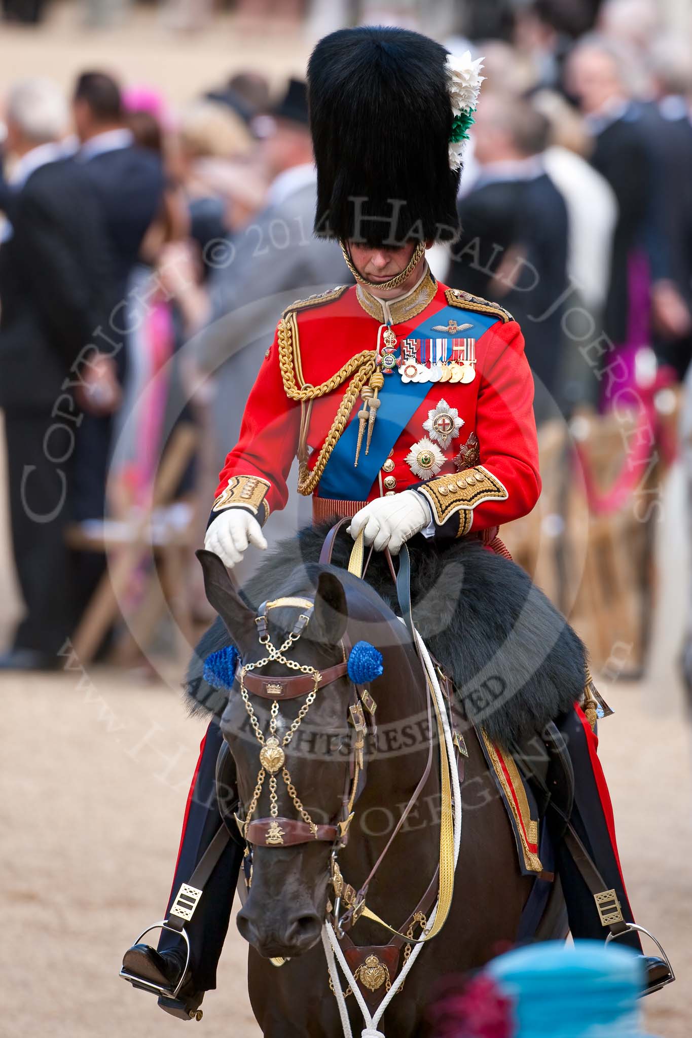 Trooping the Colour 2009: Close-up of HRH Prince Charles, The Prince of Wales, Colonel Welsh Guards..
Horse Guards Parade, Westminster,
London SW1,

United Kingdom,
on 13 June 2009 at 10:58, image #125